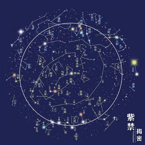 十八飛星|紫微斗數:歷史,典籍,基礎內容,斗數分析法,十四主星,十。